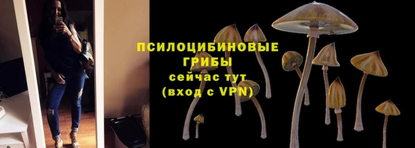 скорость Карталы