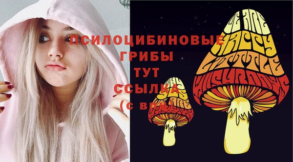 jwh Арсеньев