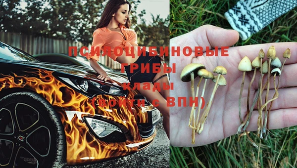 jwh Арсеньев
