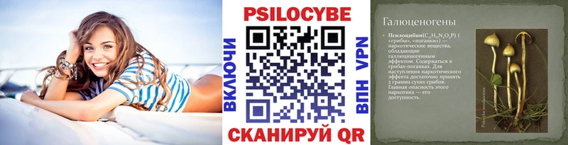 Псилоцибиновые грибы MAGIC MUSHROOMS  Катав-Ивановск 